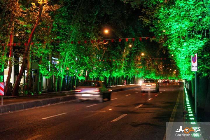 خیابان ولیعصر (عج) چه موانعی برای ثبت جهانی دارد؟ خیابان ولیعصر (عج) چه موانعی برای ثبت جهانی دارد؟