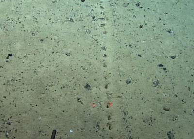کشف حفره های مرموز و عجیب در کف اقیانوس اطلس!