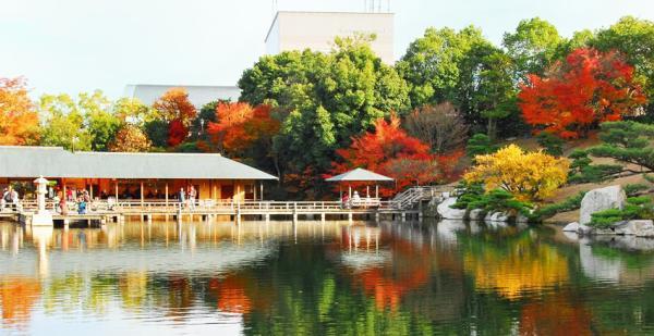 گشت وگذاری در یوکاهاما، سرزمین اعجاب انگیز ژاپن