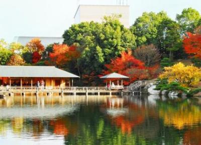 گشت وگذاری در یوکاهاما، سرزمین اعجاب انگیز ژاپن