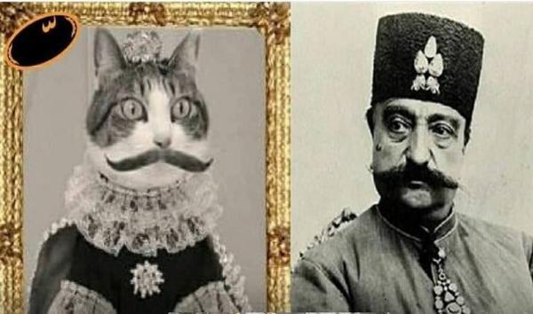 ببری خان؛ مشهورترین گربه تهران را بشناسید